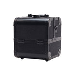 Lacey Professional Artist Case