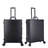 Emily Professional Artist Case