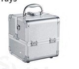 Lacey Professional Artist Case