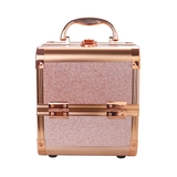 Lacey Professional Artist Case