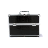 Hannah Professional Artist Case
