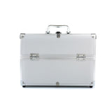 Hannah Professional Artist Case