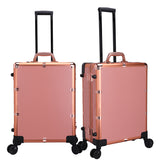 Emily Professional Artist Case