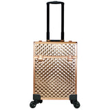 Eleanor Professional Artist Case